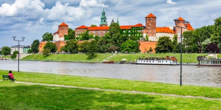 Owady nad Wisłą w Krakowie. Miasto wyjaśnia, skąd się wzięły