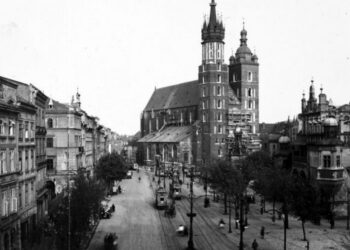Drzewa na Rynku Głównym w Krakowie. Wybrano firmę, znamy koszt inwestycji