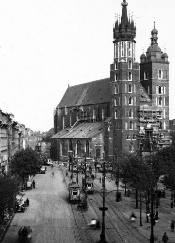 Drzewa na Rynku Głównym w Krakowie. Wybrano firmę, znamy koszt inwestycji