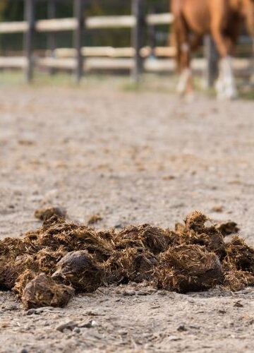 Pod Krakowem działa nietypowy „Kupomat”. Chętnych nie brakuje!