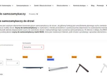 Jak działa szyna ślizgowa i jaki wpływ ma na pracę samozamykacza? Szyny ślizgowe a funkcje dodatkowe samozamykacza. Przeczytaj artykuł!