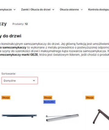 Jak działa szyna ślizgowa i jaki wpływ ma na pracę samozamykacza? Szyny ślizgowe a funkcje dodatkowe samozamykacza. Przeczytaj artykuł!