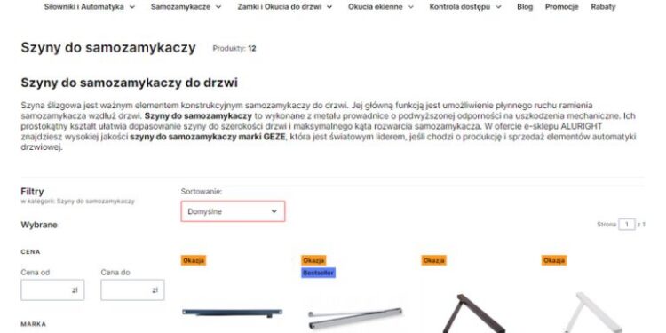 Jak działa szyna ślizgowa i jaki wpływ ma na pracę samozamykacza? Szyny ślizgowe a funkcje dodatkowe samozamykacza. Przeczytaj artykuł!