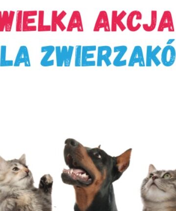 Pomóż bezdomnym psom i kotom. Biblioteka Kraków organizuje akcję wymiany darów na książki